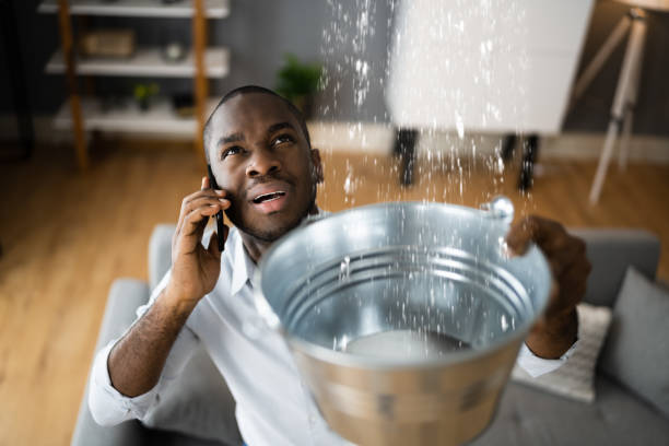 Best Water damage restoration near me  in Orofino, ID