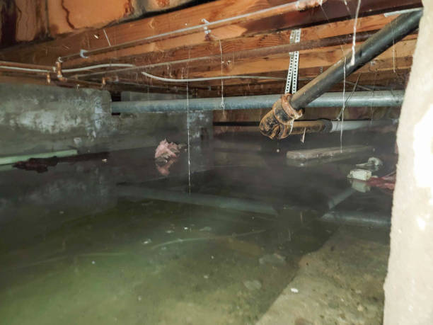 Water damage restoration process in Orofino, ID