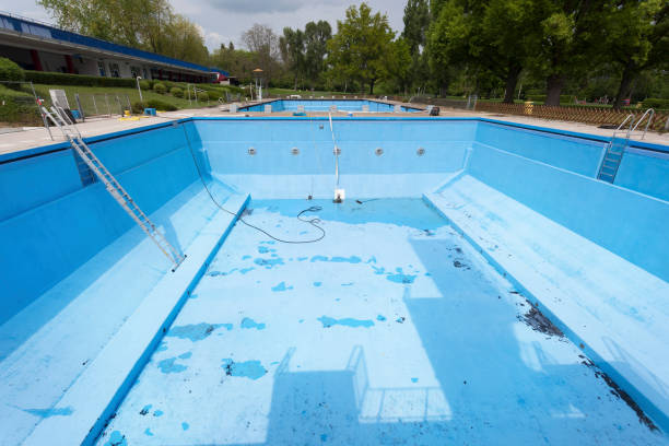 Best Mold removal after water damage  in Orofino, ID