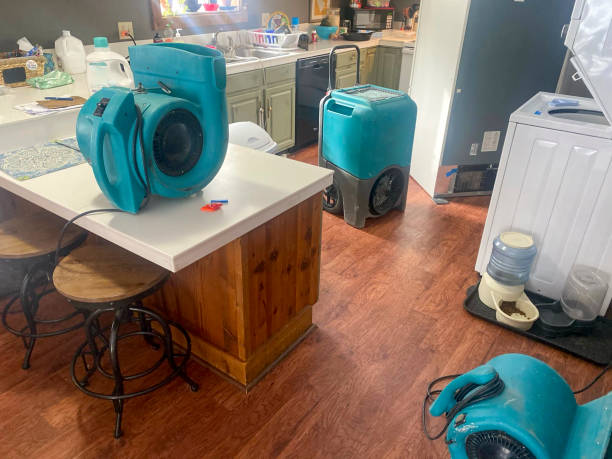 Best Water damage cleanup near me  in Orofino, ID
