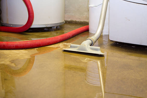 Best Residential water damage restoration  in Orofino, ID