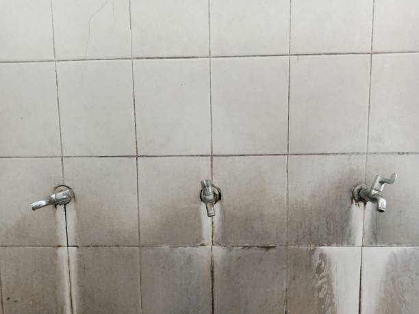 Best Ceiling water damage repair  in Orofino, ID