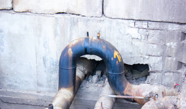 Best Local water damage restoration  in Orofino, ID