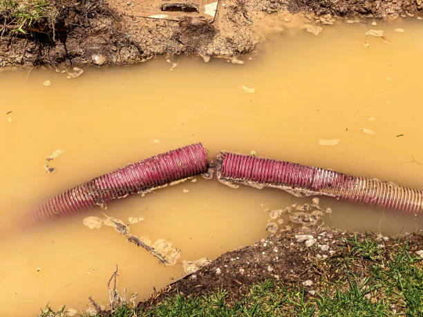 Best Carpet water damage restoration  in Orofino, ID